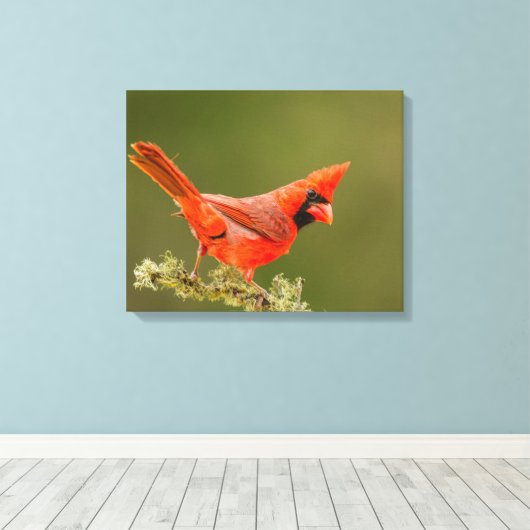 男性用(鳥)ショウジョウコウカンチョウオン肢体 キャンバスプリント (インサイチュ (ウッドフロア))