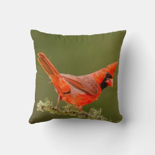 男性用(鳥)ショウジョウコウカンチョウオン肢体 クッション (裏面)