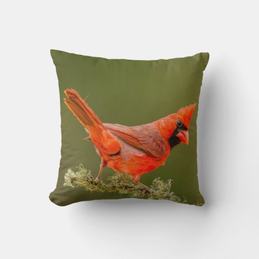 男性用(鳥)ショウジョウコウカンチョウオン肢体 クッション (正面)