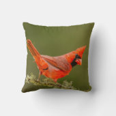 男性用(鳥)ショウジョウコウカンチョウオン肢体 クッション (裏面)