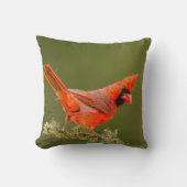 男性用(鳥)ショウジョウコウカンチョウオン肢体 クッション (正面)