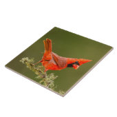 男性用(鳥)ショウジョウコウカンチョウオン肢体 タイル (側面)