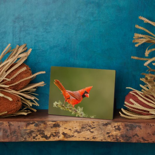 男性用(鳥)ショウジョウコウカンチョウオン肢体 フォトプラーク (側面)