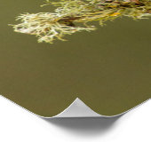 男性用（鳥）ショウジョウコウカンチョウオン肢体 ポスター (角)