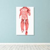男性筋肉の医学的イラストレーションランニング1 キャンバスプリント (インサイチュ (ウッドフロア))