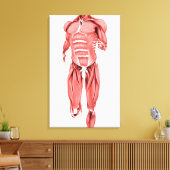 男性筋肉の医学的イラストレーションランニング1 キャンバスプリント (インサイチュ (リビング))