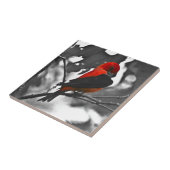 男性緋色タネガー タイル (側面)