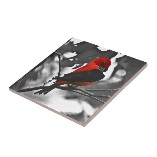 男性緋色タネガー タイル (側面)