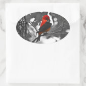 男性緋色タネガー 楕円形シール (バッグ)