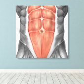 男性腹筋のクローズアップ キャンバスプリント (インサイチュ (ウッドフロア))