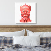 男性顔筋の医学的イラストレーション1 キャンバスプリント (インサイチュ (寝室))