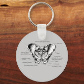 男性骨盤詳細 キーホルダー (正面)