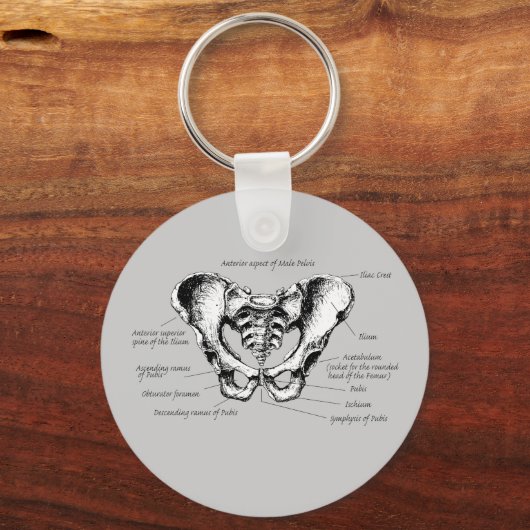 男性骨盤詳細 キーホルダー (正面)
