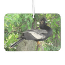 男性（前面）と女性（背面）アンヒンガ