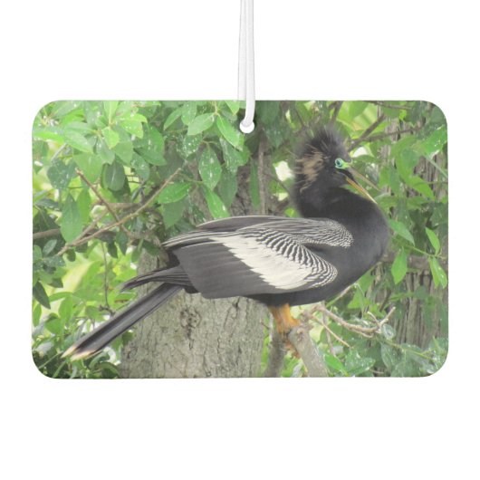 男性（前面）と女性（背面）アンヒンガ カーエアーフレッシュナー (正面)