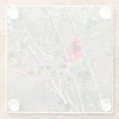 男性（鳥）ショウジョウコウカンチョウフォトグラスコースター ガラスコースター (裏面)