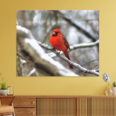 男性（鳥）ショウジョウコウカンチョウ キャンバスプリント (インサイチュ (リビング))