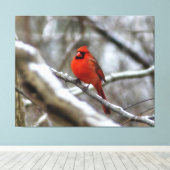 男性（鳥）ショウジョウコウカンチョウ キャンバスプリント (インサイチュ (ウッドフロア))