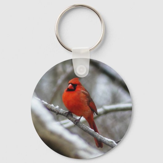 男性(鳥)ショウジョウコウカンチョウ キーホルダー (正面)