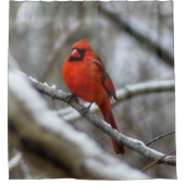男性（鳥）ショウジョウコウカンチョウ シャワーカーテン (正面)