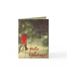 男性（鳥）ショウジョウコウカンチョウ