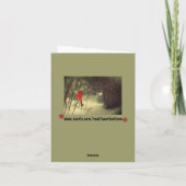 男性（鳥）ショウジョウコウカンチョウ シーズンカード (裏面)