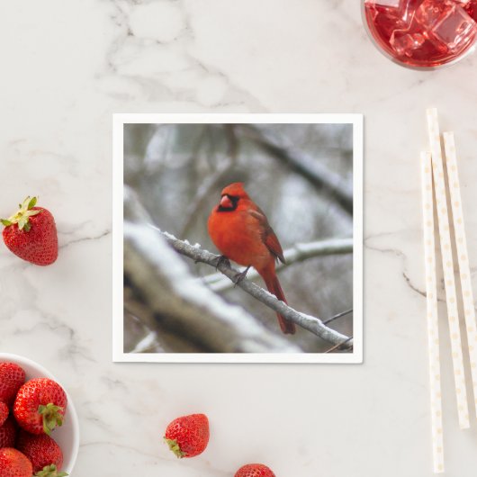 男性（鳥）ショウジョウコウカンチョウ スタンダードカクテルナプキン (インサイチュ)