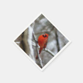 男性（鳥）ショウジョウコウカンチョウ スタンダードカクテルナプキン (角)