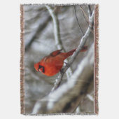 男性（鳥）ショウジョウコウカンチョウ スローブランケット (正面縦)