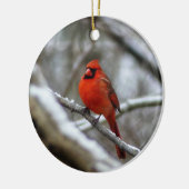 男性（鳥）ショウジョウコウカンチョウ セラミックオーナメント (左)