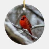 男性（鳥）ショウジョウコウカンチョウ セラミックオーナメント (裏面)