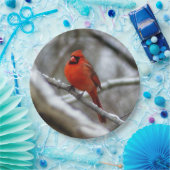 男性（鳥）ショウジョウコウカンチョウ ペーパープレート (パーティー)