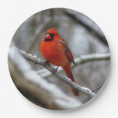 男性（鳥）ショウジョウコウカンチョウ ペーパープレート (正面)