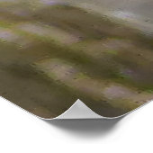 男性（鳥）ショウジョウコウカンチョウ ポスター (角)