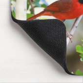 男性（鳥）ショウジョウコウカンチョウ マウスパッド (コーナー)