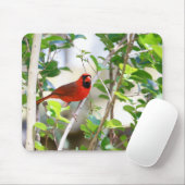 男性（鳥）ショウジョウコウカンチョウ マウスパッド (マウス)