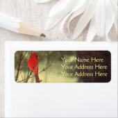 男性（鳥）ショウジョウコウカンチョウ ラベル (インサイチュ)