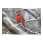 男性（鳥）ショウジョウコウカンチョウ 枕カバー (裏面)