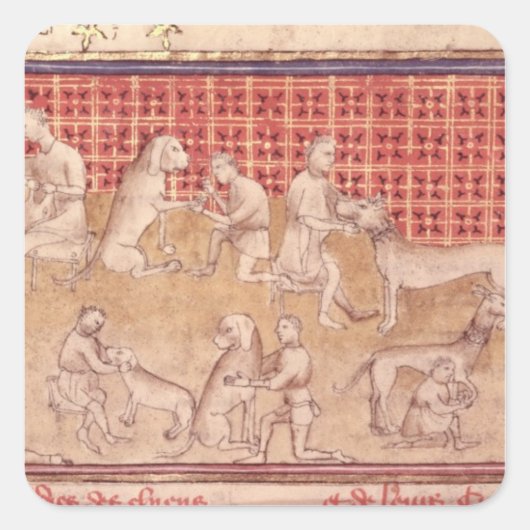 男気には狩り犬 スクエアシール (正面)