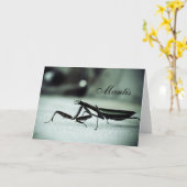 男祈炎 カード (黄色い花)