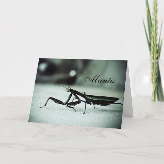 男祈炎 カード (正面)