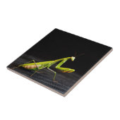 男祈炎 タイル (側面)