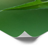 男祈炎 ポスター (角)