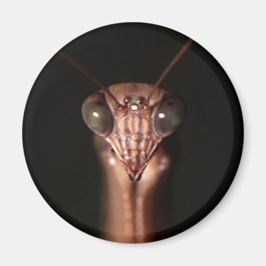 男祈炎 マグネット (正面)