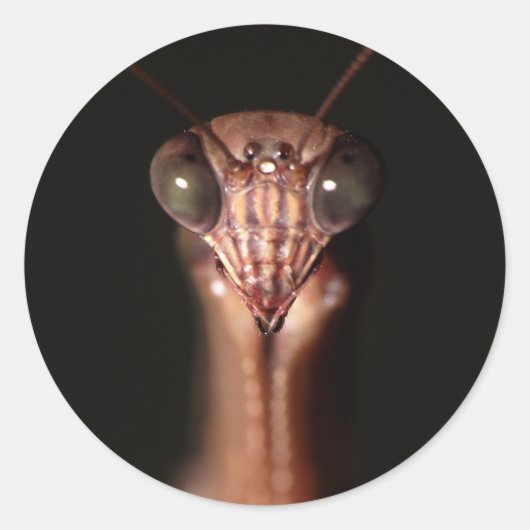 男祈炎 ラウンドシール (正面)