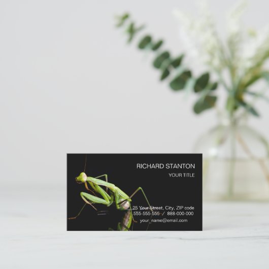 男祈炎 名刺 (スタンド正面)