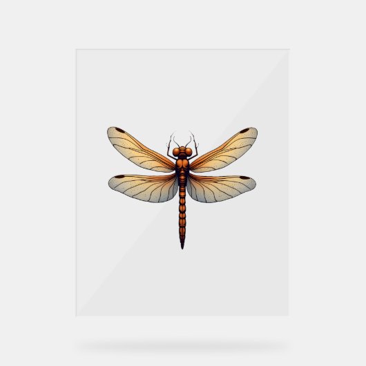 男素晴らし子と女の子のためのトンボの衣装 アクリルサイン (正面)