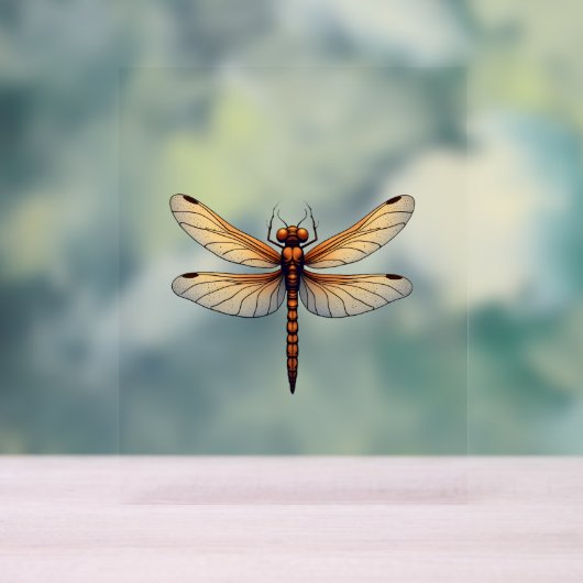 男素晴らし子と女の子のためのトンボの衣装 アクリルサイン (ニュートラル)