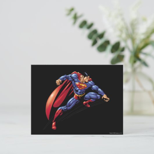 男5 ポストカード (スタンド正面)