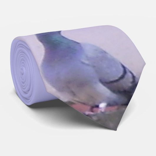 町ハト ネクタイ (ロール)